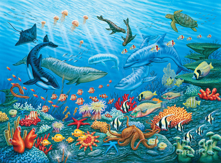 -ocean-life-phil-wilson