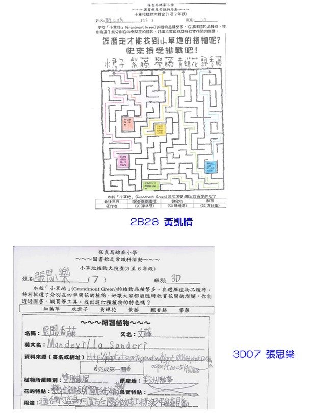 植物大搜查首輪II 15-12-2014