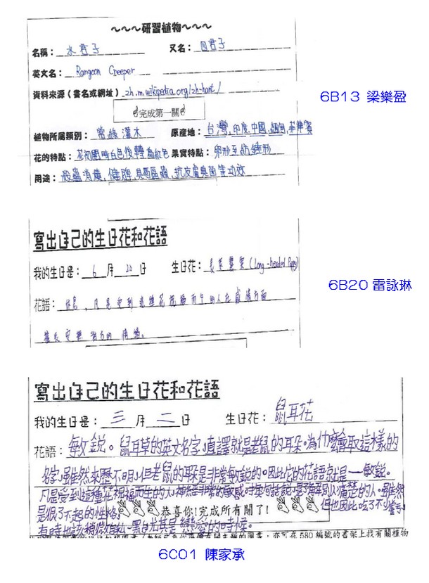 植物大搜查首輪V 15-12-2014